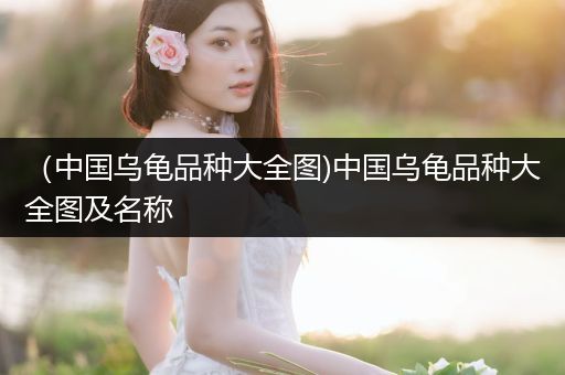 （中國烏龜品種大全圖)中國烏龜品種大全圖及名稱