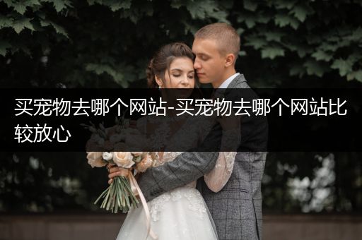 買寵物去哪個(gè)網(wǎng)站-買寵物去哪個(gè)網(wǎng)站比較放心