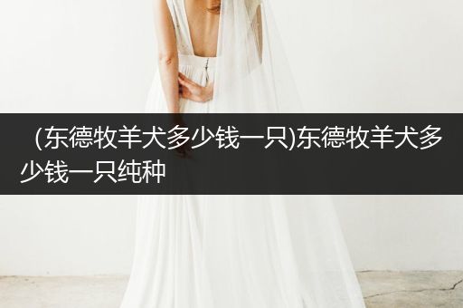 （東德牧羊犬多少錢一只)東德牧羊犬多少錢一只純種