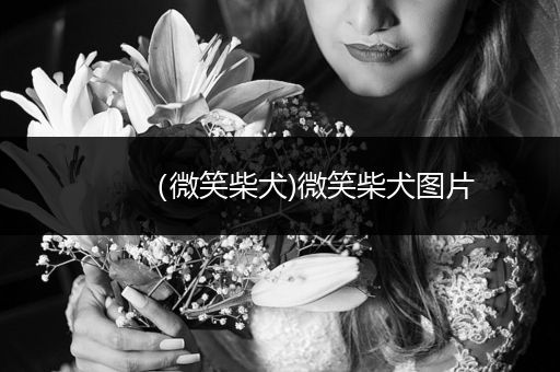 （微笑柴犬)微笑柴犬圖片