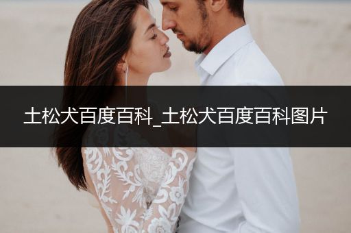 土松犬百度百科_土松犬百度百科圖片