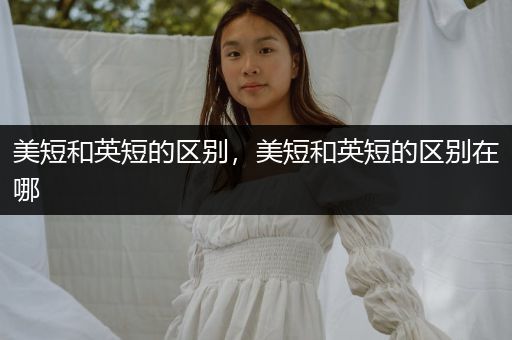 美短和英短的區(qū)別，美短和英短的區(qū)別在哪