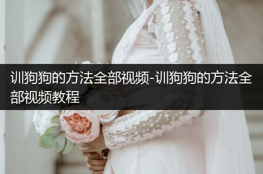 訓(xùn)狗狗的方法全部視頻-訓(xùn)狗狗的方法全部視頻教程