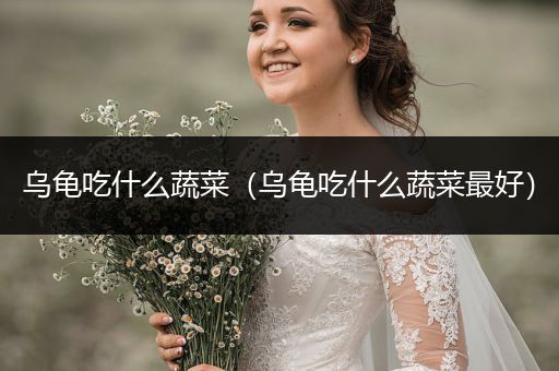 烏龜吃什么蔬菜（烏龜吃什么蔬菜最好）