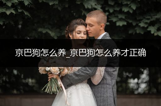 京巴狗怎么養(yǎng)_京巴狗怎么養(yǎng)才正確