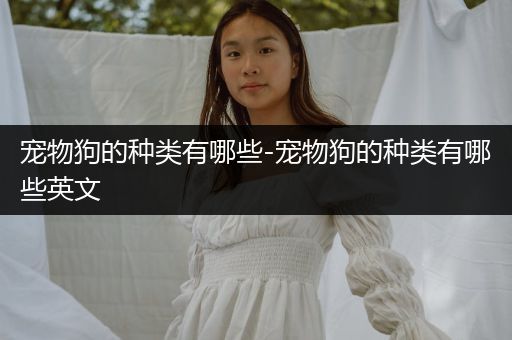 寵物狗的種類(lèi)有哪些-寵物狗的種類(lèi)有哪些英文