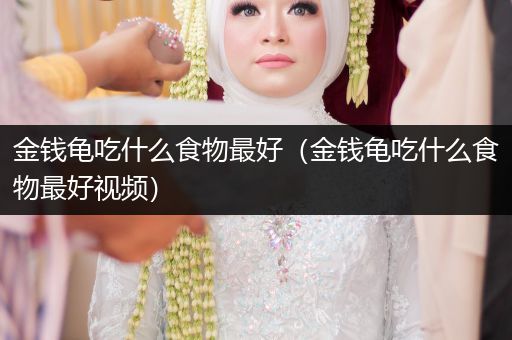 金錢龜吃什么食物最好（金錢龜吃什么食物最好視頻）