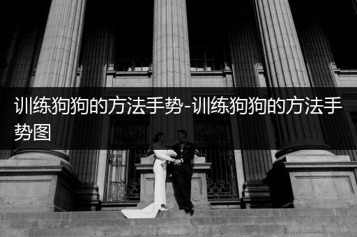 訓(xùn)練狗狗的方法手勢-訓(xùn)練狗狗的方法手勢圖