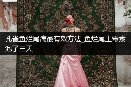 孔雀魚爛尾病最有效方法_魚爛尾土霉素泡了三天