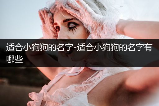 適合小狗狗的名字-適合小狗狗的名字有哪些