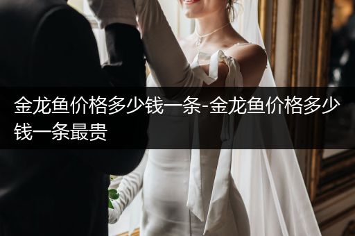 金龍魚價格多少錢一條-金龍魚價格多少錢一條最貴