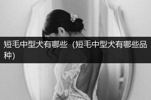 短毛中型犬有哪些（短毛中型犬有哪些品種）