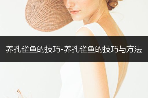 養(yǎng)孔雀魚的技巧-養(yǎng)孔雀魚的技巧與方法