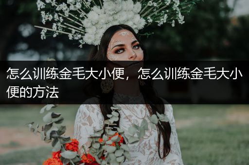 怎么訓練金毛大小便，怎么訓練金毛大小便的方法