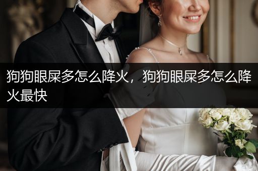 狗狗眼屎多怎么降火，狗狗眼屎多怎么降火最快