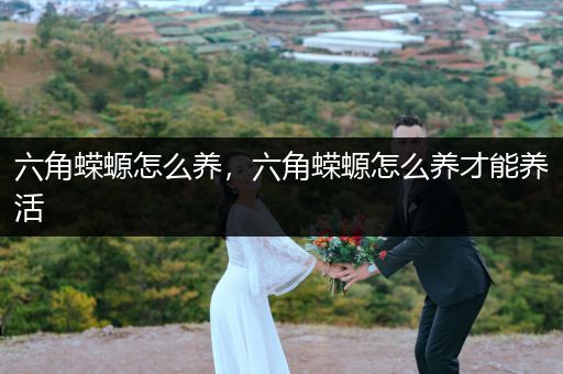 六角蠑螈怎么養(yǎng)，六角蠑螈怎么養(yǎng)才能養(yǎng)活