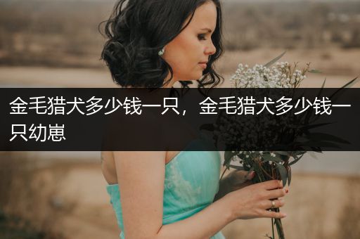 金毛獵犬多少錢一只，金毛獵犬多少錢一只幼崽