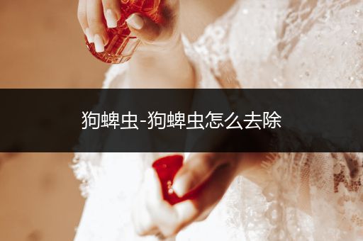 狗蜱蟲-狗蜱蟲怎么去除