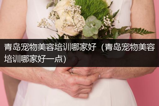 青島寵物美容培訓(xùn)哪家好（青島寵物美容培訓(xùn)哪家好一點）