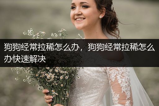 狗狗經(jīng)常拉稀怎么辦，狗狗經(jīng)常拉稀怎么辦快速解決