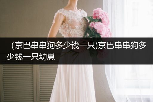 （京巴串串狗多少錢一只)京巴串串狗多少錢一只幼崽
