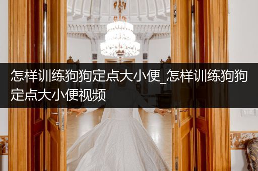 怎樣訓(xùn)練狗狗定點(diǎn)大小便_怎樣訓(xùn)練狗狗定點(diǎn)大小便視頻