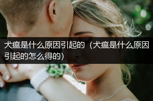 犬瘟是什么原因引起的(犬瘟是什么原因引起的怎么得的)