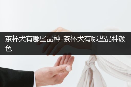 茶杯犬有哪些品種-茶杯犬有哪些品種顏色