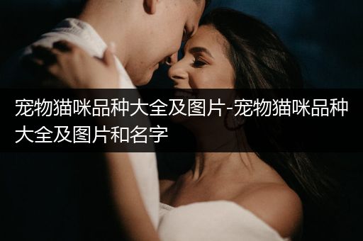 寵物貓咪品種大全及圖片-寵物貓咪品種大全及圖片和名字