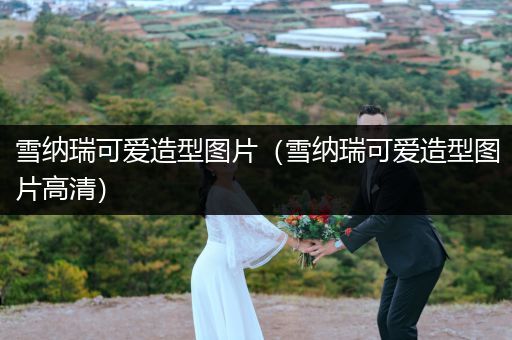 雪納瑞可愛(ài)造型圖片（雪納瑞可愛(ài)造型圖片高清）