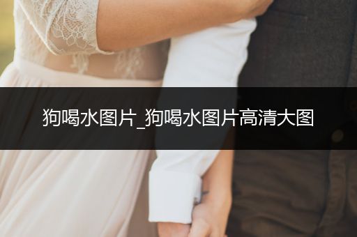 狗喝水圖片_狗喝水圖片高清大圖