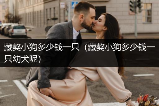 藏獒小狗多少錢(qián)一只（藏獒小狗多少錢(qián)一只幼犬呢）