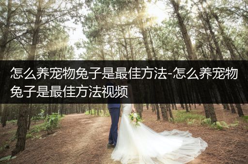 怎么養(yǎng)寵物兔子是最佳方法-怎么養(yǎng)寵物兔子是最佳方法視頻