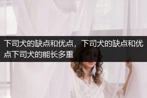 下司犬的缺點(diǎn)和優(yōu)點(diǎn)，下司犬的缺點(diǎn)和優(yōu)點(diǎn)下司犬的能長(zhǎng)多重