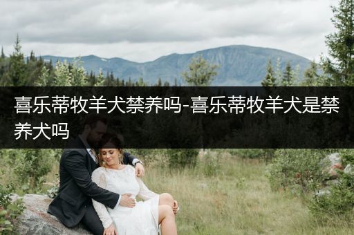 喜樂蒂牧羊犬禁養(yǎng)嗎-喜樂蒂牧羊犬是禁養(yǎng)犬嗎