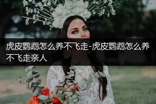 虎皮鸚鵡怎么養(yǎng)不飛走-虎皮鸚鵡怎么養(yǎng)不飛走親人