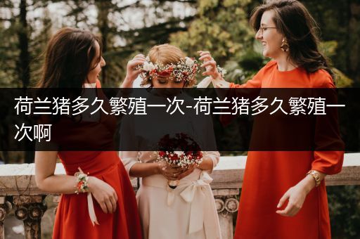 荷蘭豬多久繁殖一次-荷蘭豬多久繁殖一次啊