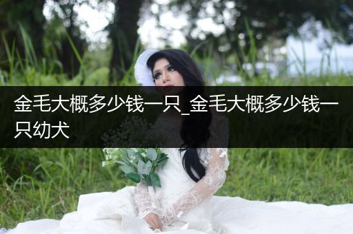 金毛大概多少錢一只_金毛大概多少錢一只幼犬