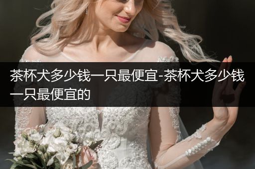 茶杯犬多少錢一只最便宜-茶杯犬多少錢一只最便宜的