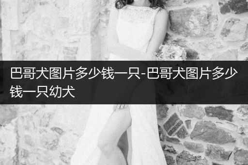 巴哥犬圖片多少錢一只-巴哥犬圖片多少錢一只幼犬