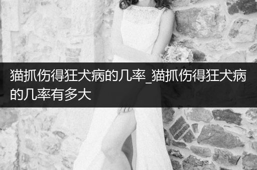 貓抓傷得狂犬病的幾率_貓抓傷得狂犬病的幾率有多大