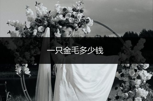 一只金毛多少錢(qián) 