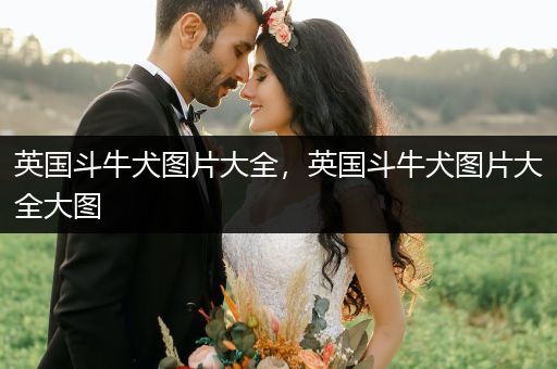 英國斗牛犬圖片大全，英國斗牛犬圖片大全大圖