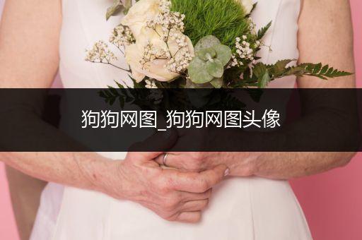 狗狗網(wǎng)圖_狗狗網(wǎng)圖頭像