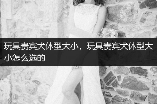 玩具貴賓犬體型大小，玩具貴賓犬體型大小怎么選的