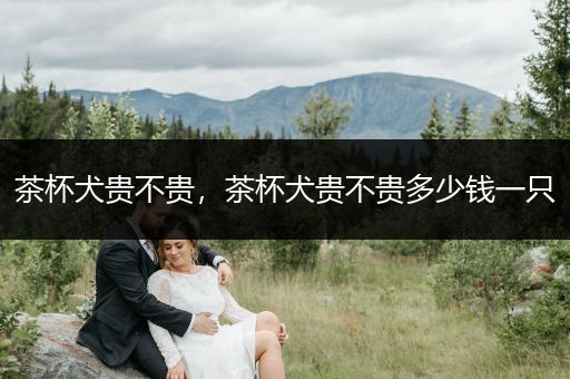 茶杯犬貴不貴，茶杯犬貴不貴多少錢一只