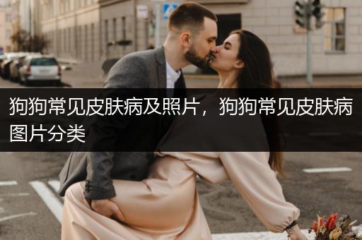 狗狗常見皮膚病及照片，狗狗常見皮膚病圖片分類