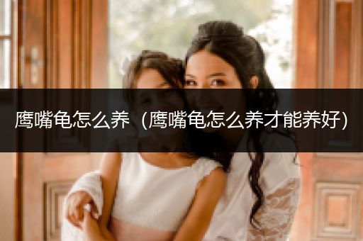 鷹嘴龜怎么養(yǎng)（鷹嘴龜怎么養(yǎng)才能養(yǎng)好）