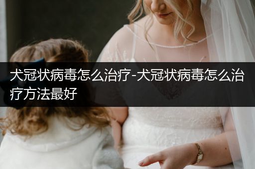 犬冠狀病毒怎么治療-犬冠狀病毒怎么治療方法最好