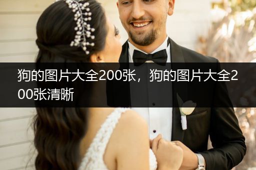 狗的圖片大全200張，狗的圖片大全200張清晰